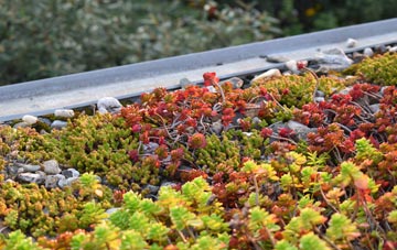 the cost of Slebech green roof installation