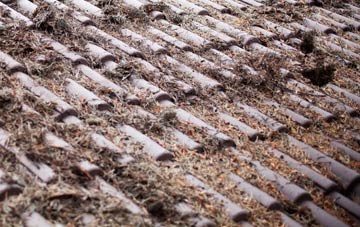 Slebech roof cleaning companies