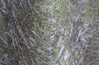 Slebech fibreglass roof work